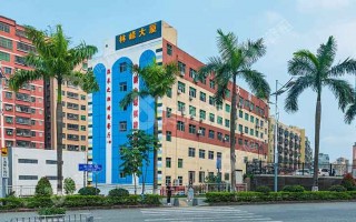 深圳龙华写字楼：林峰大厦
