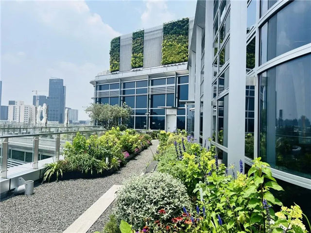 上海最大!普陀惊现“零耗能”建筑地标！-第4张图片-叠叠租写字楼网