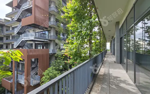 深圳各区哪里房价最高？大鹏新区买房哪些楼盘可以选？-第1张图片-叠叠租写字楼网