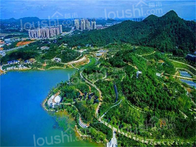 深圳楼市最新情况是什么？-第7张图片-叠叠租写字楼网